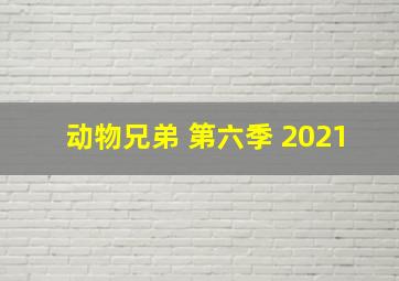 动物兄弟 第六季 2021